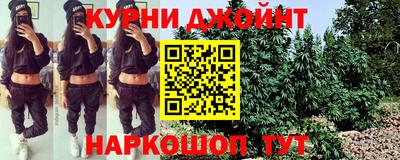 гидропоника Брянск