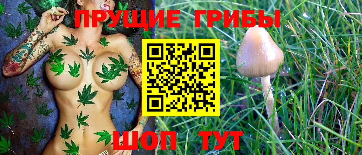 Псилоцибиновые грибы GOLDEN TEACHER Новоалтайск